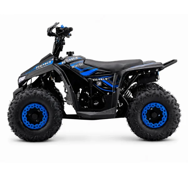 BeBrave Pegasus pro 110cc - Imagen 2