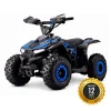 BeBrave Pegasus pro 110cc