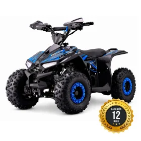 BeBrave Pegasus pro 110cc