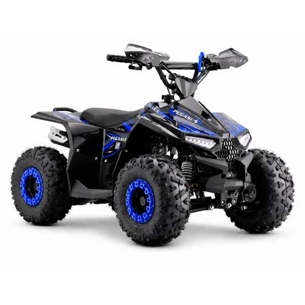 BeBrave Pegasus pro 110cc - Imagen 9