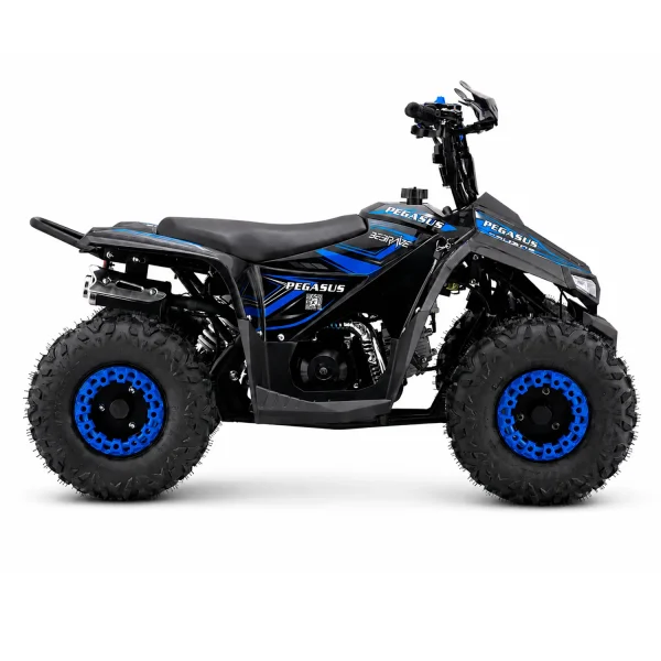 BeBrave Pegasus pro 110cc - Imagen 5