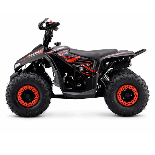 BeBrave Pegasus pro 110cc - Imagen 4