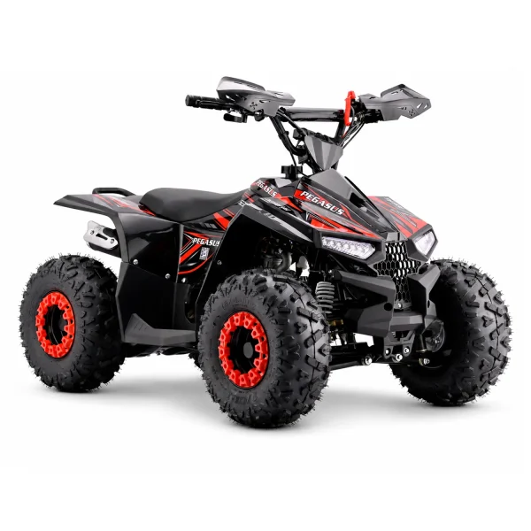 BeBrave Pegasus pro 110cc - Imagen 10