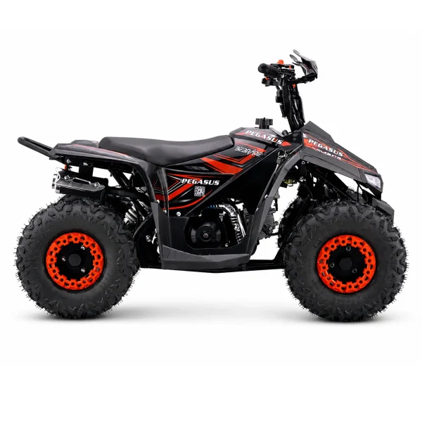 BeBrave Pegasus pro 110cc - Imagen 7