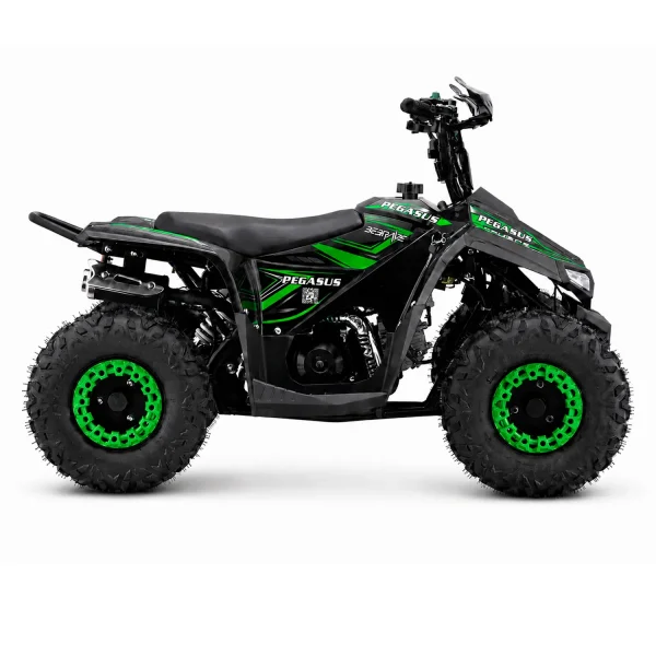 BeBrave Pegasus pro 110cc - Imagen 6
