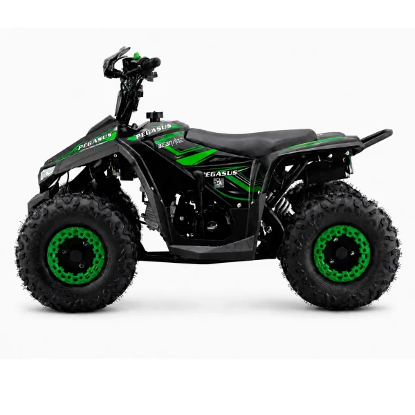 BeBrave Pegasus pro 110cc - Imagen 3