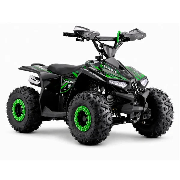 BeBrave Pegasus pro 110cc - Imagen 8