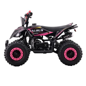 Alternative view of Atv Taurus Pro 49cc