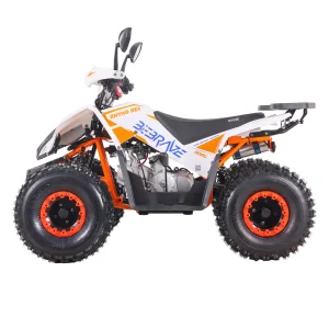 Alternative view of Atv Rhyno Rex 125