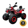 Atv Tao Warrior 200cc Deluxe