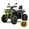 Atv Indominus Wild HD 250